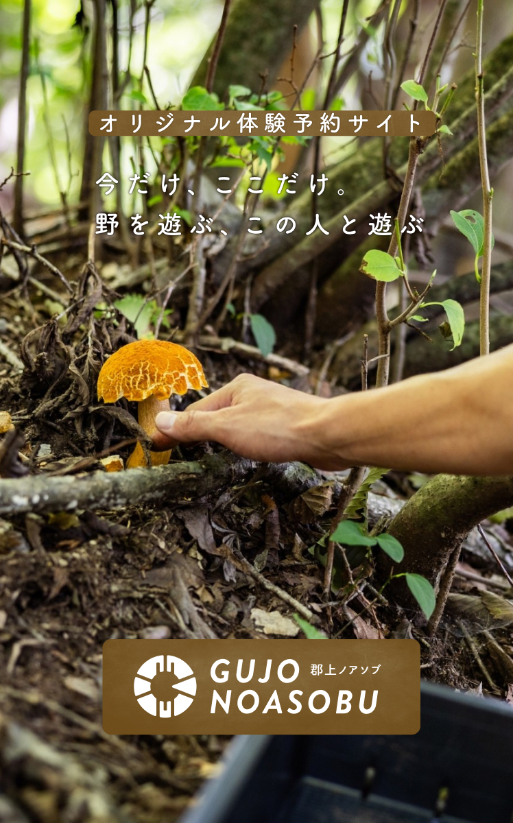 GUJO Outdoor Experiences オリジナル体験予約「郡上ノアソブ」 GUJO Outdoor Experiences オリジナル体験予約「郡上ノアソブ」