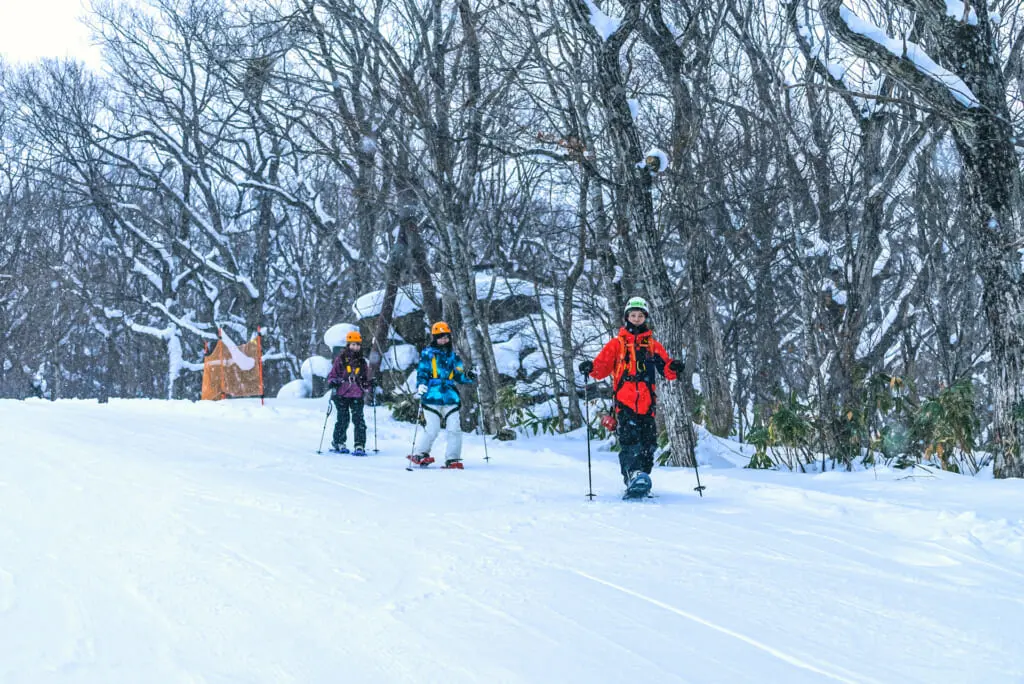 ジップラインアドベンチャーひるがの 岐阜県郡上市 アウトドア専門の観光webサイト Gujo Outdoor Experiences