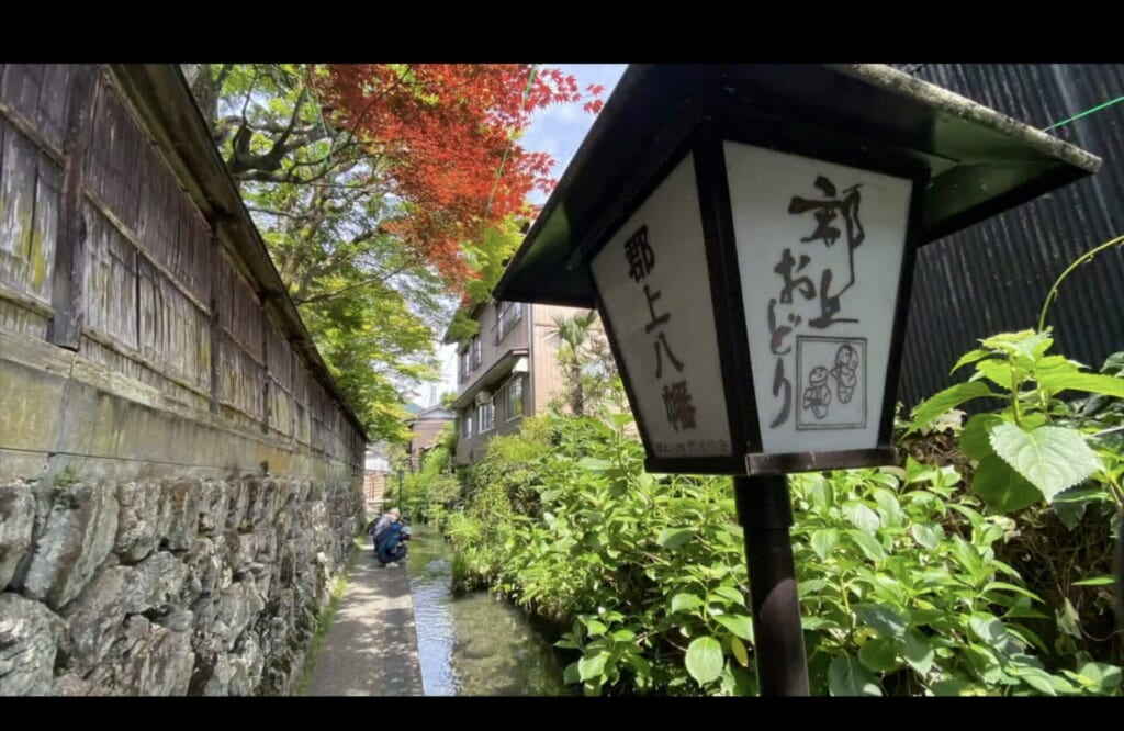 郡上八幡視察団