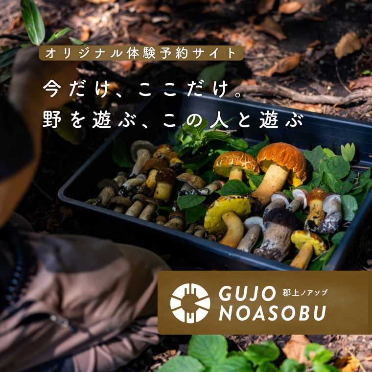 限定体験