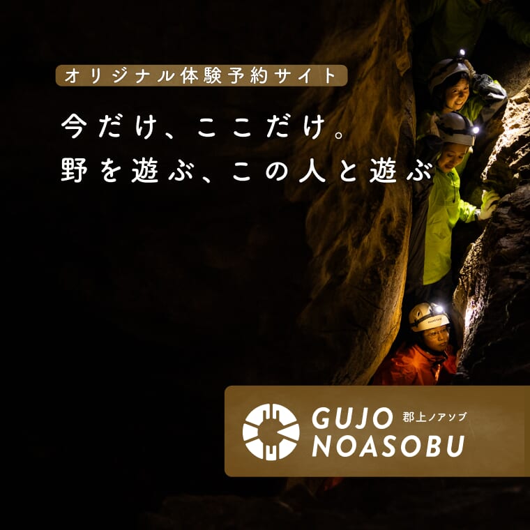 アクティビティ・宿泊
