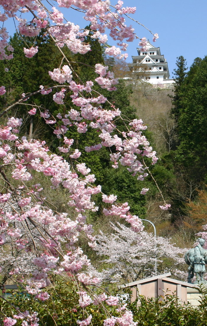 春:桜の時期のベストスポット