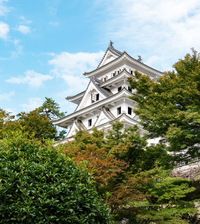 郡上ガイド 八幡