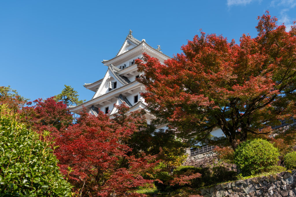 4 Best Spots to See Autumn Leaves in Gujo!_01
