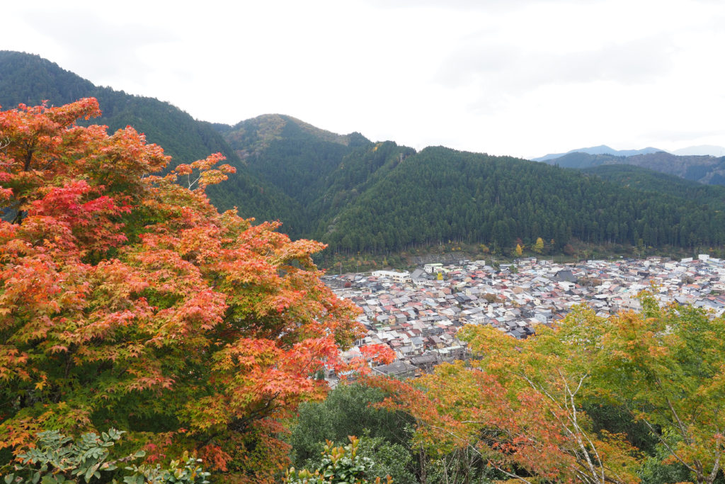 4 Best Spots to See Autumn Leaves in Gujo!_03