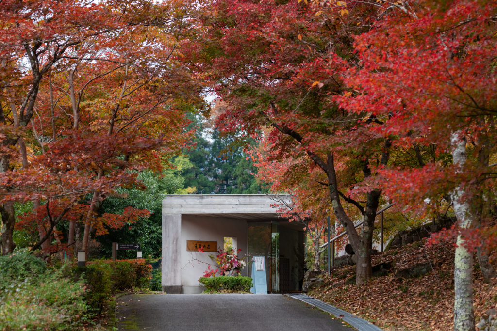 4 Best Spots to See Autumn Leaves in Gujo!_10