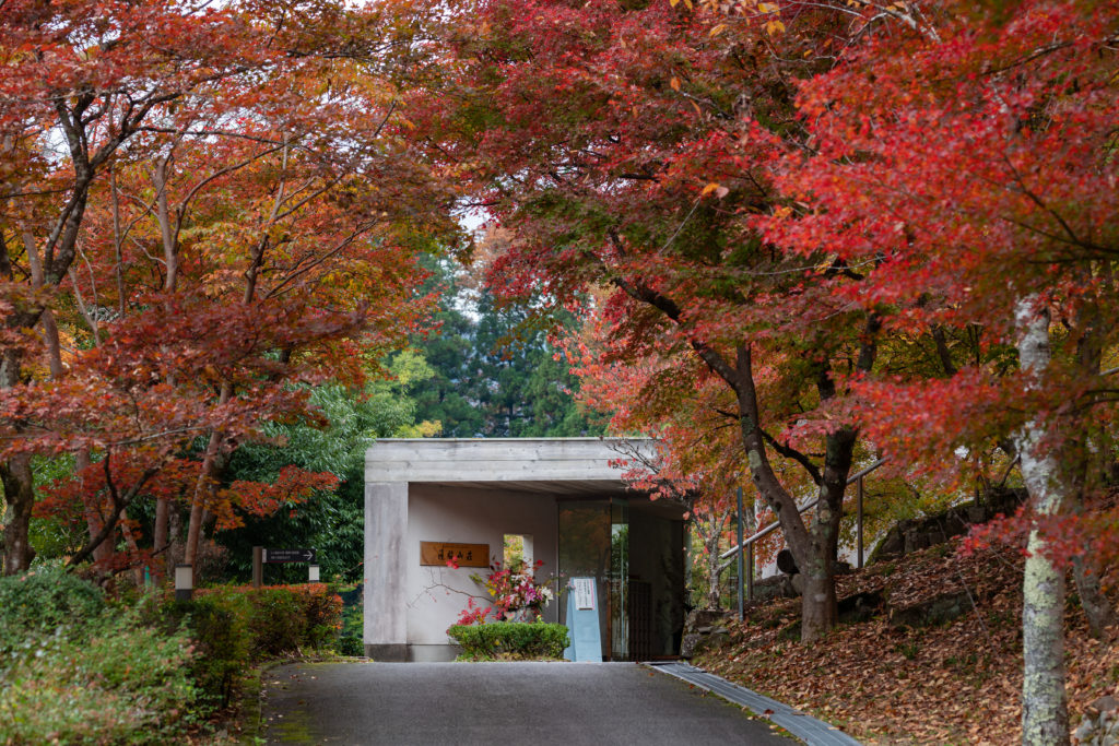 郡上でぜひ訪れたい紅葉スポット_10