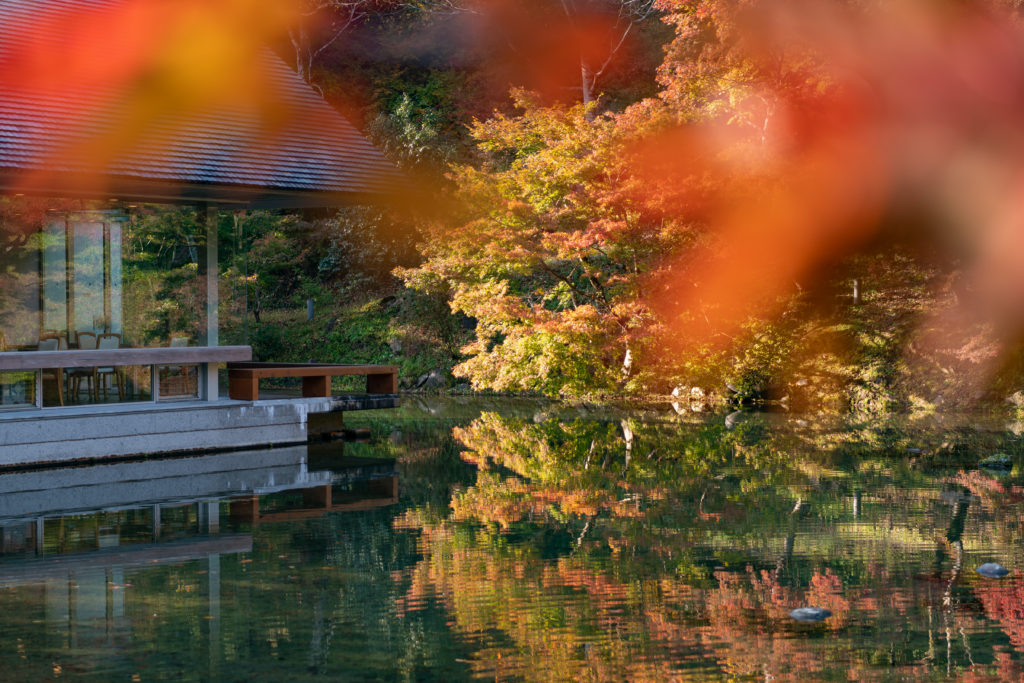4 Best Spots to See Autumn Leaves in Gujo!_12